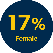 DEI, Diversity, Equity and Inclusion 17 Percent Female Image