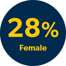 DEI, Diversity, Equity and Inclusion 28 Percent Female Image