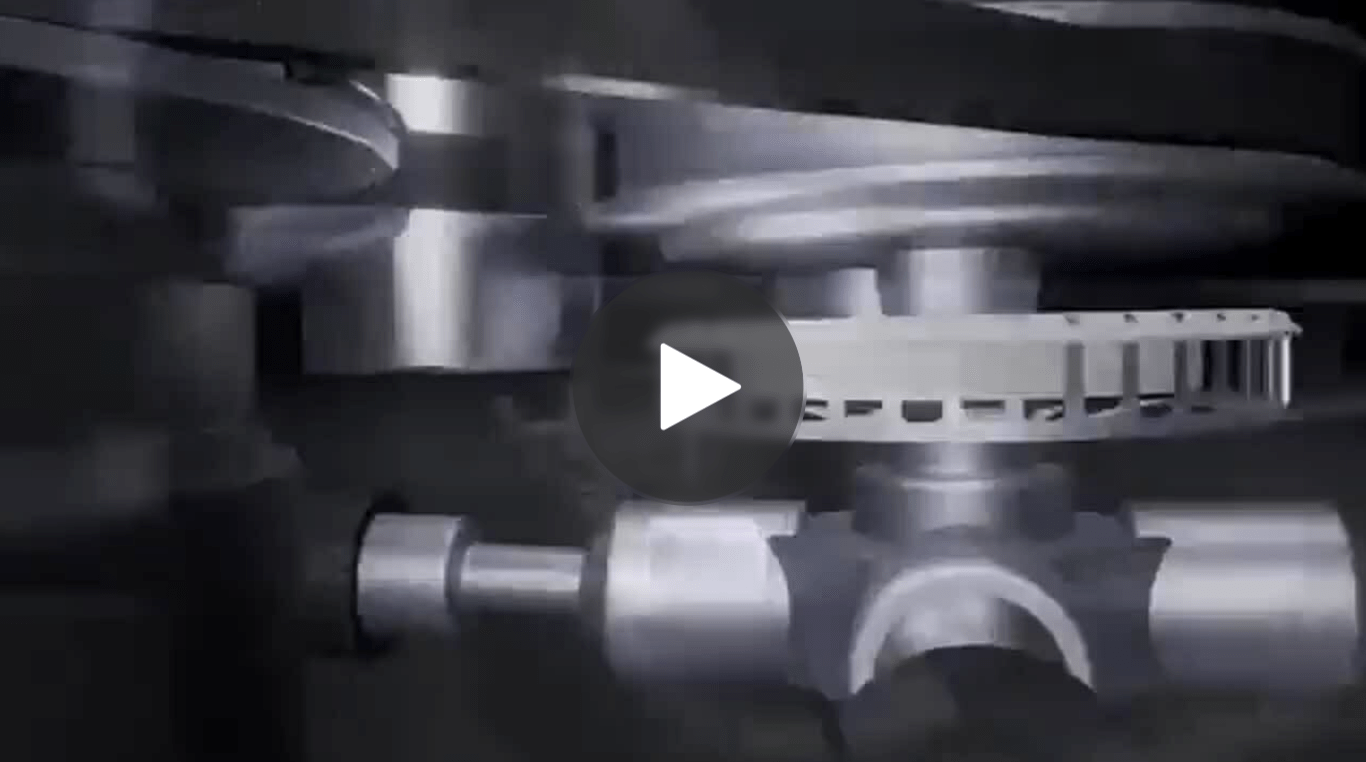 Differential-Thumbnail