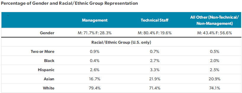 DEI Graphic - Percentage of Gender Ethnic Group Representation Infographic
